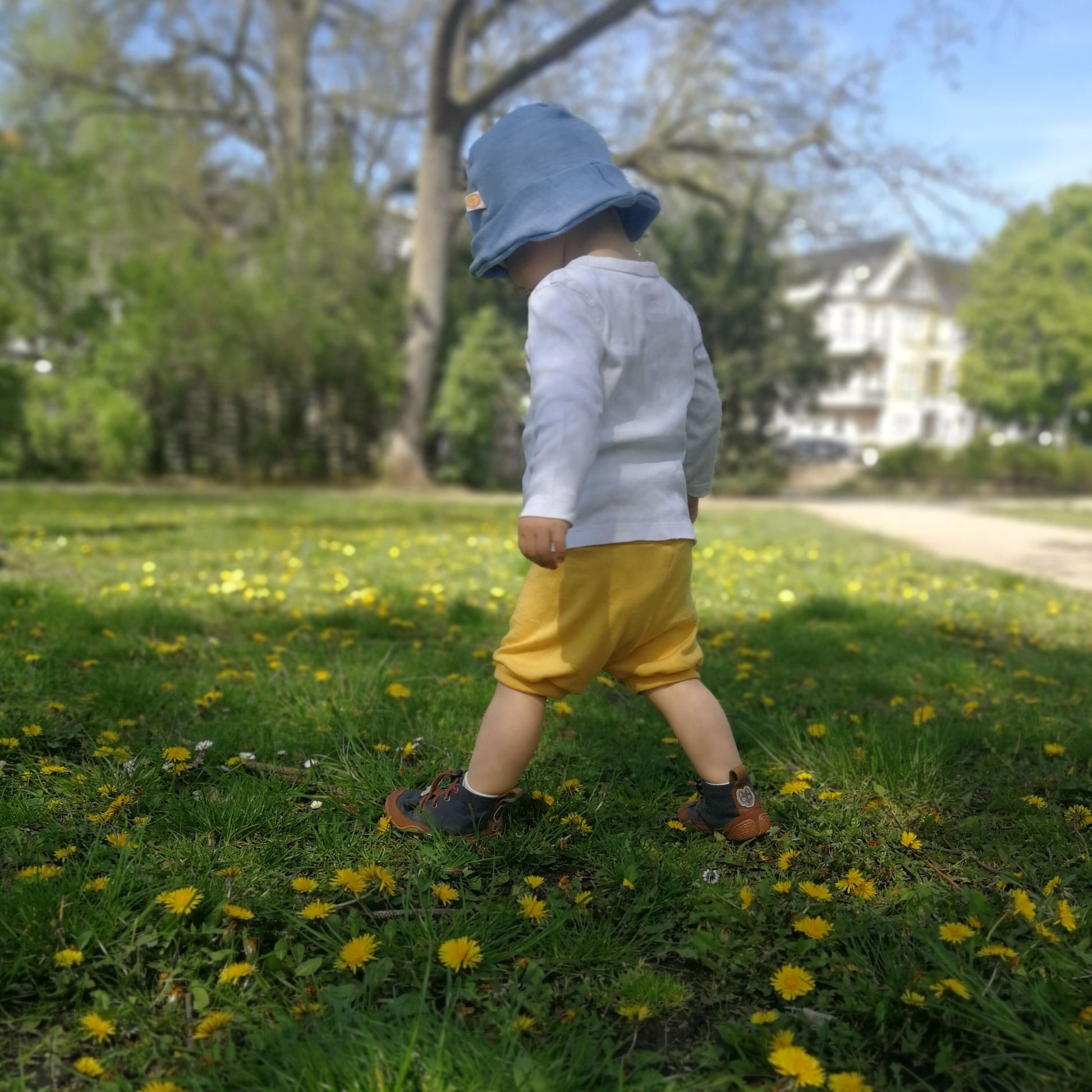 Kurze Hose Shorts für Babys und Kinder aus Upcycling Wolle in deiner Wunschfarbe - Jawoll Baby