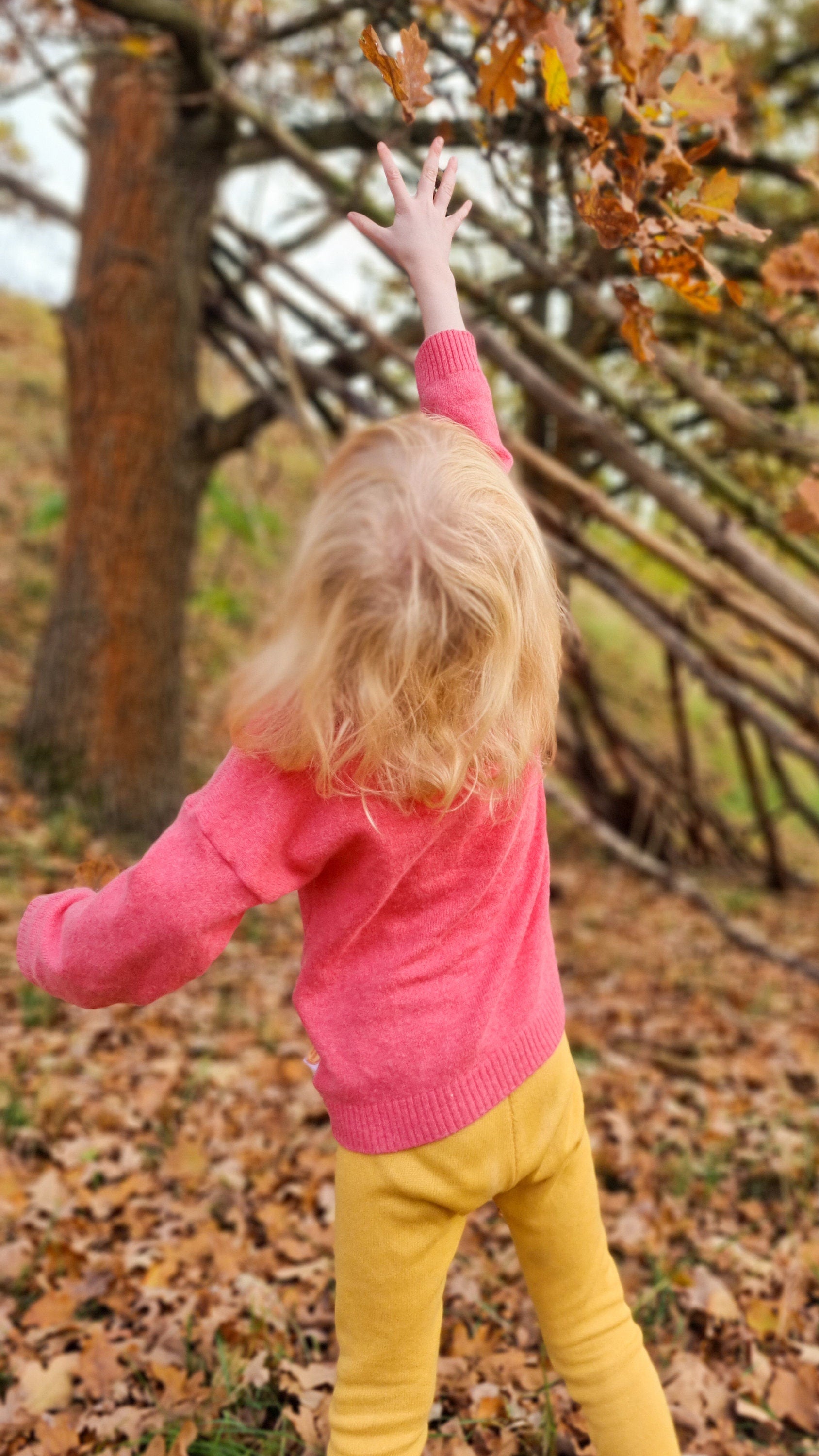 Pullover Unisex für Babys und Kinder aus Upcycling Wolle oder Kaschmir in der Farbe deiner Wahl